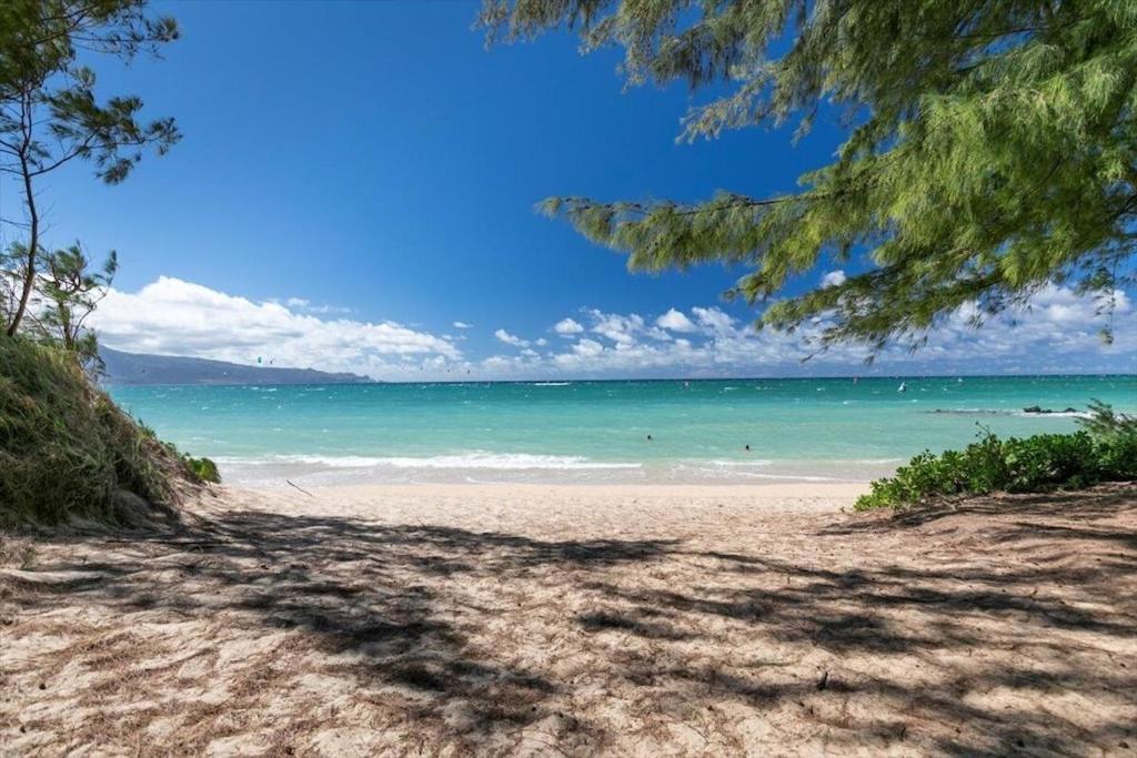 Unit 15 Maui Ohana Modern Appartement Wailuku